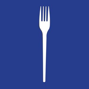 fork-300x300